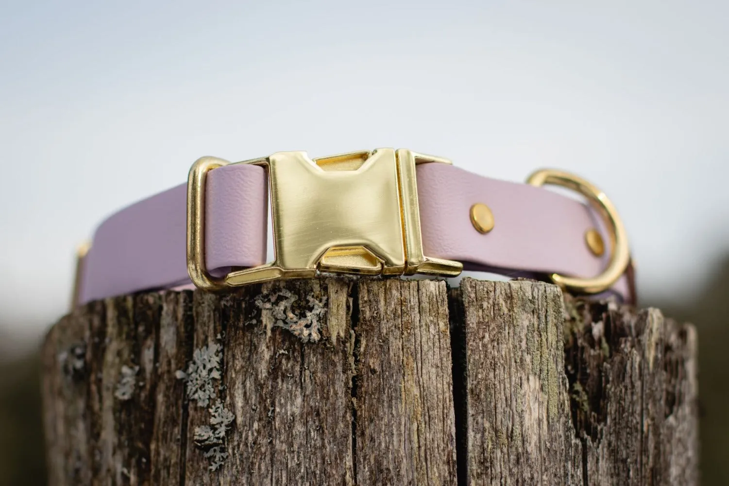 1" Waterproof BioThane Brass Side Release Collar