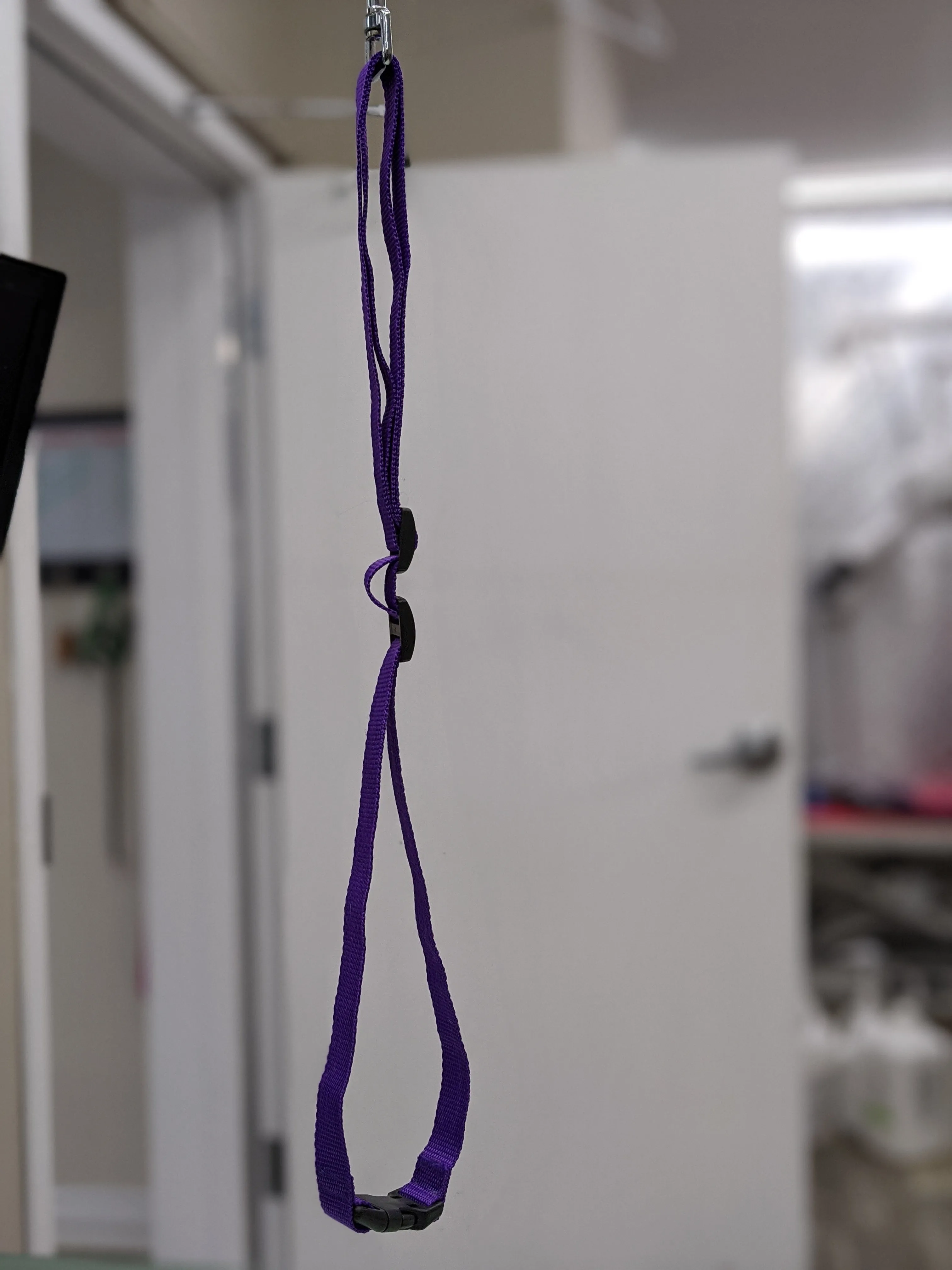 Grooming Loop-Quick release