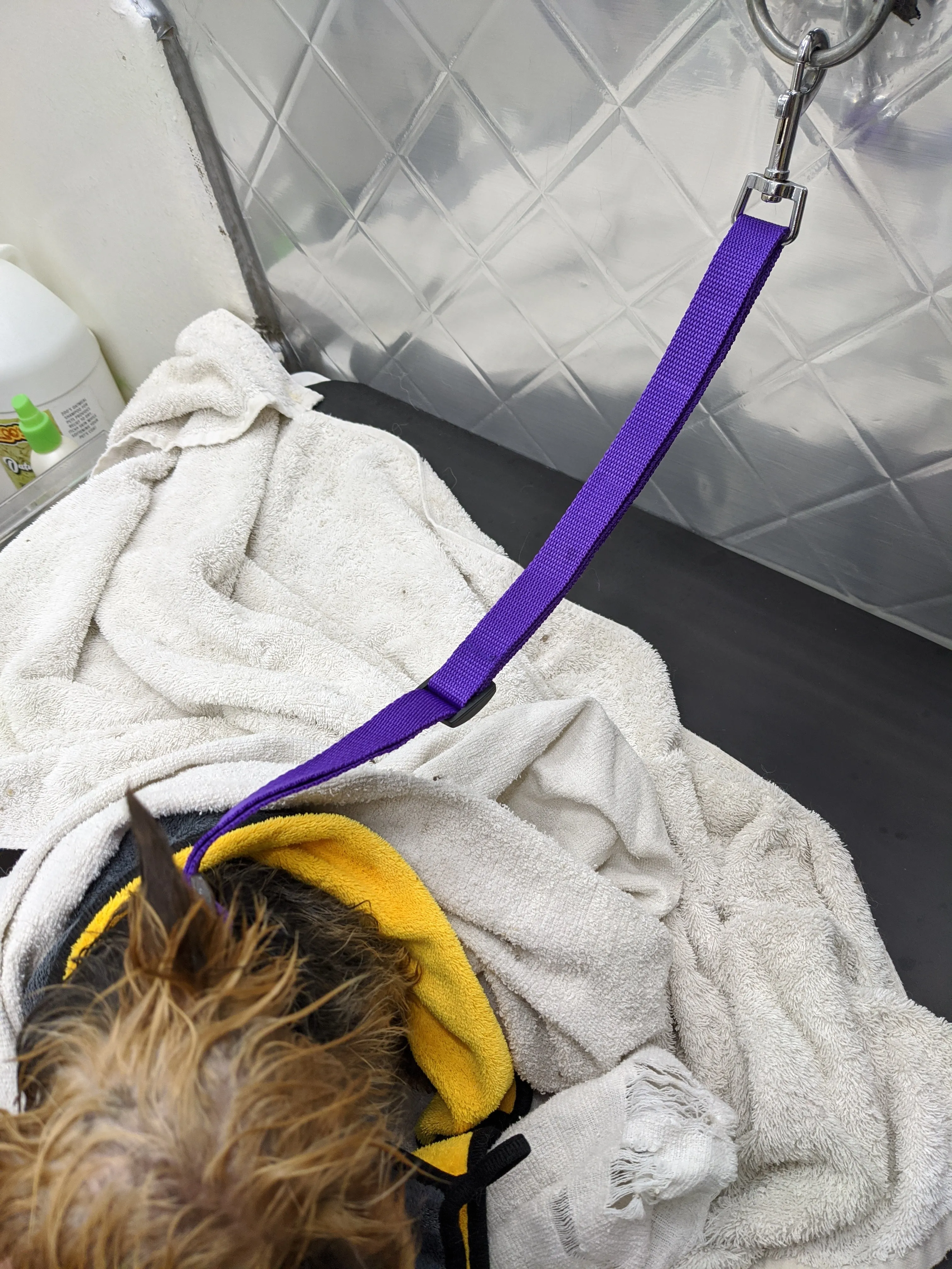 Grooming Loop-Quick release