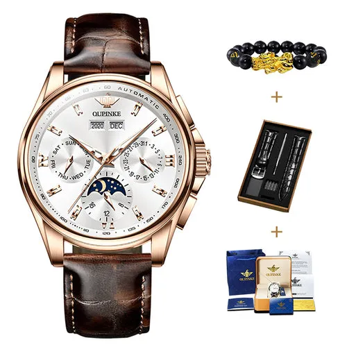 Oupinke Top Brand Luxury Automatic Watch For Man Mechanical Watch