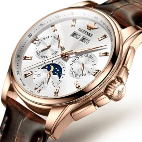 Oupinke Top Brand Luxury Automatic Watch For Man Mechanical Watch