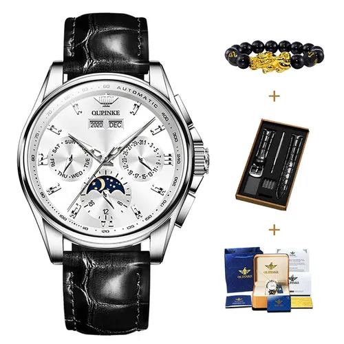 Oupinke Top Brand Luxury Automatic Watch For Man Mechanical Watch
