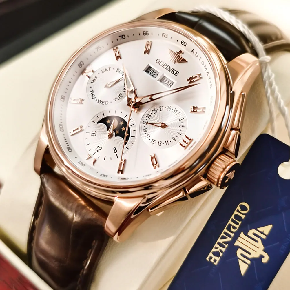Oupinke Top Brand Luxury Automatic Watch For Man Mechanical Watch