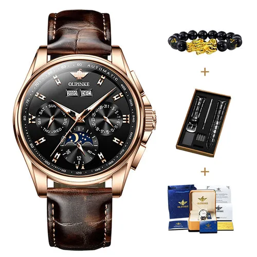 Oupinke Top Brand Luxury Automatic Watch For Man Mechanical Watch