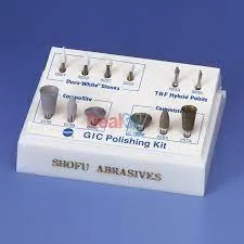 shofu gic polishing kit