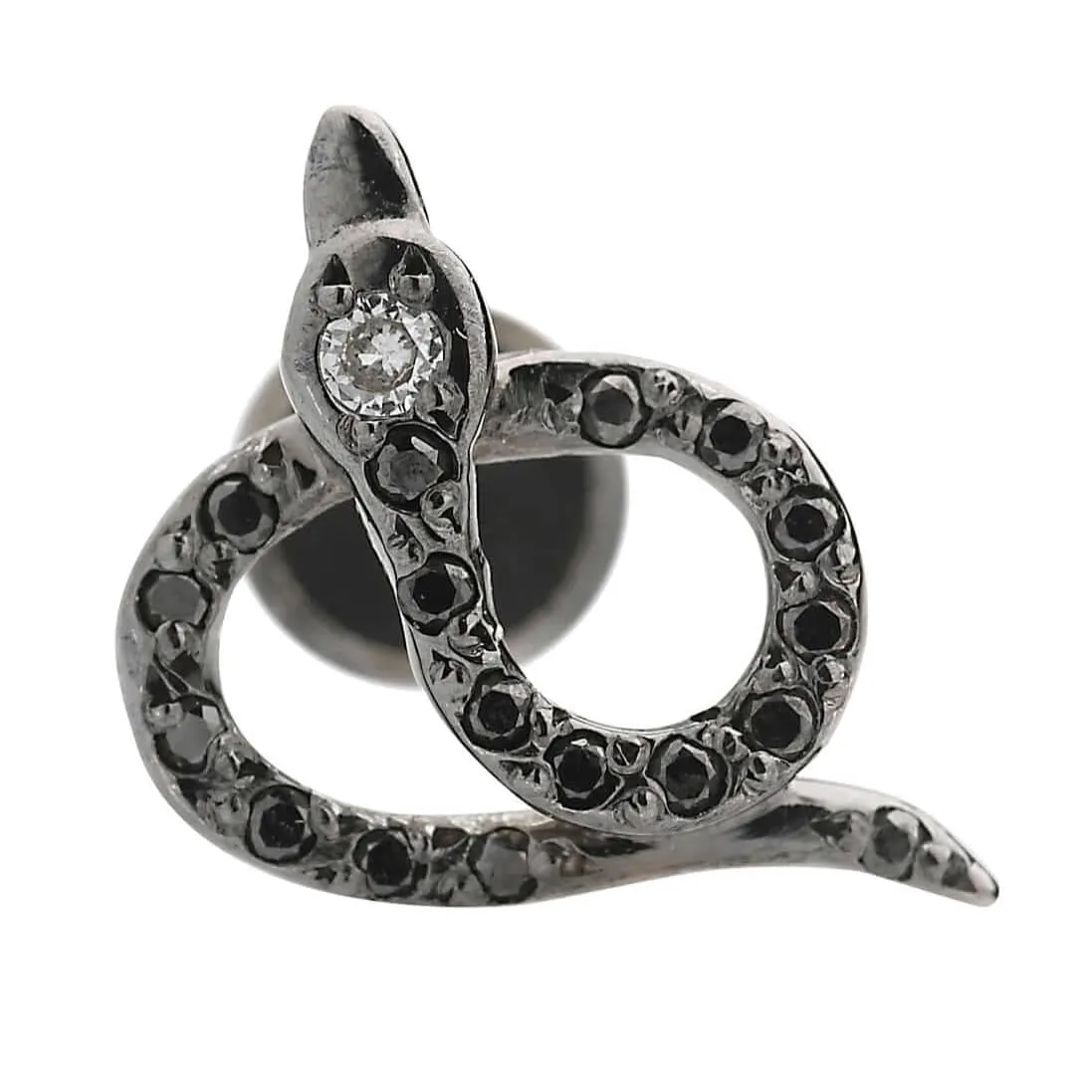 Snake Studs Pave W-Ox-Bd-d
